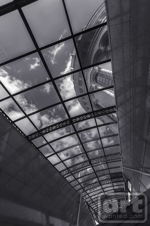 The Glass Roof