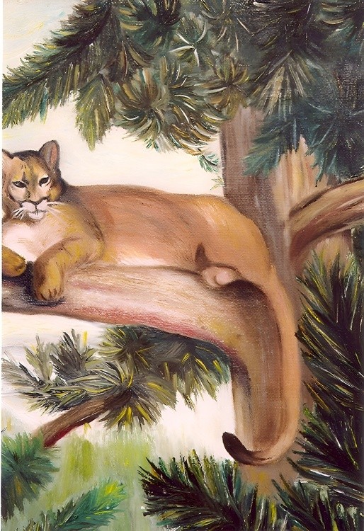 COUGAR IN THE PINES