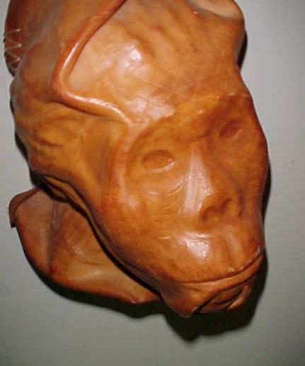 Leather Head