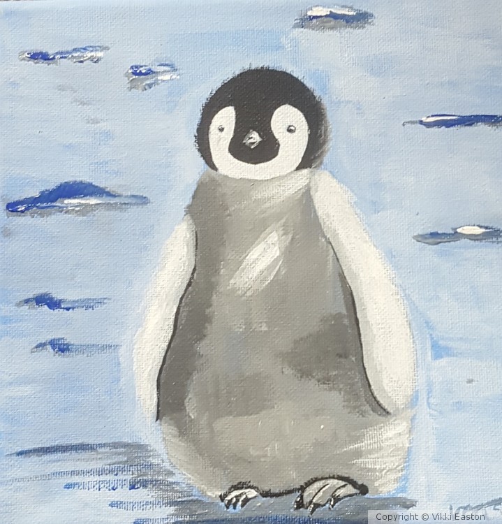 Baby penguin