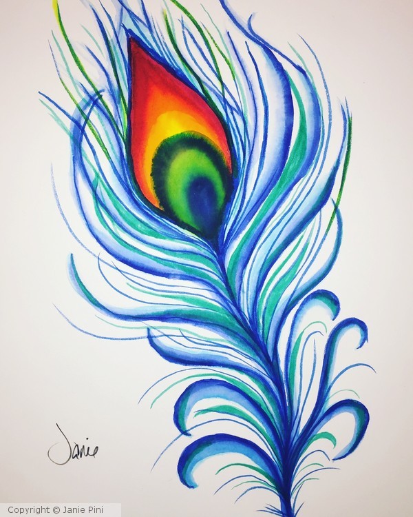 Peacock Feather