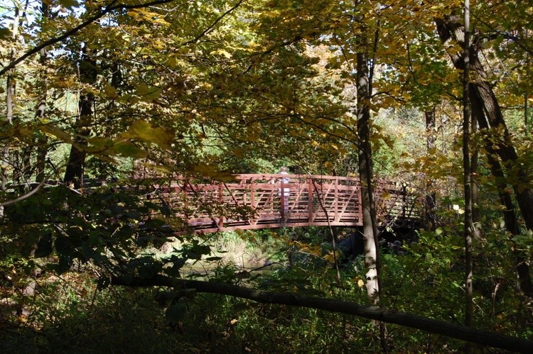Bridge