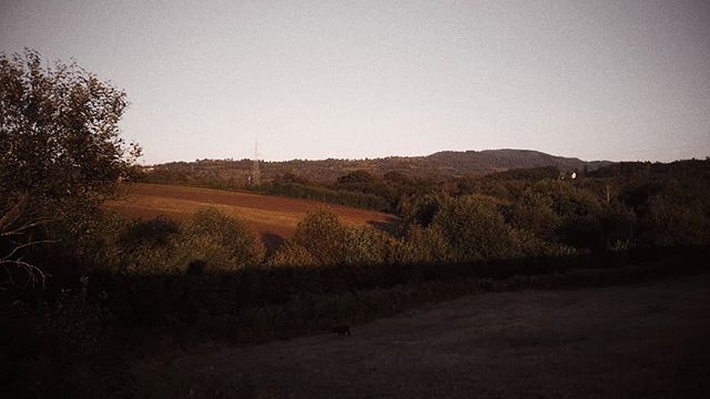 vscocam vscofilter capture moment