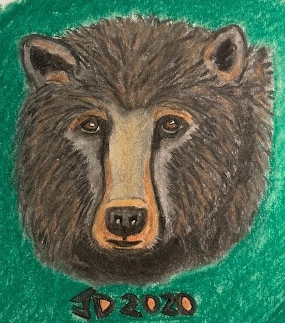 Bear Face 