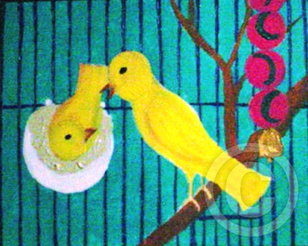 Breeding Season