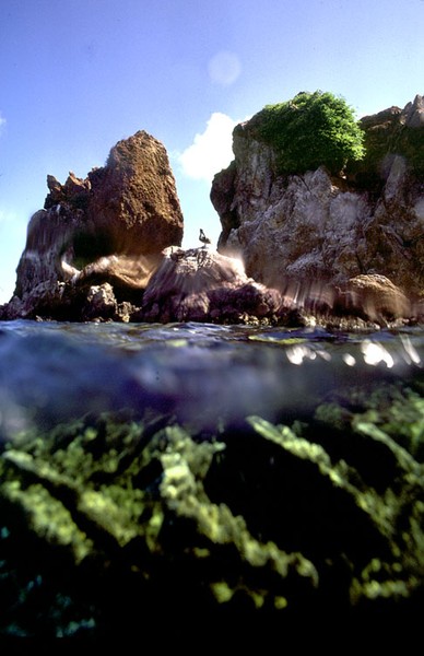 From the Deep............