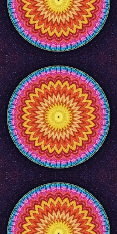 Kal00337