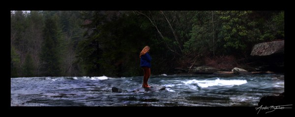 Calming The Chaos