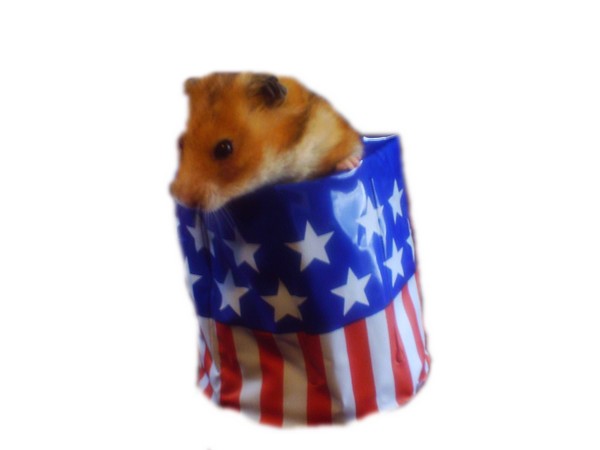 Patriotic Hamster