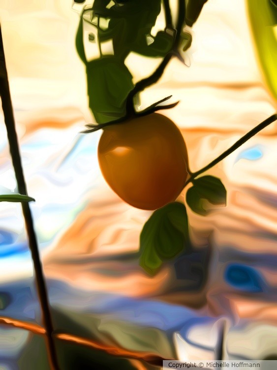 Tomatillo