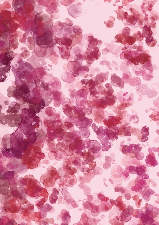 Flower Petals