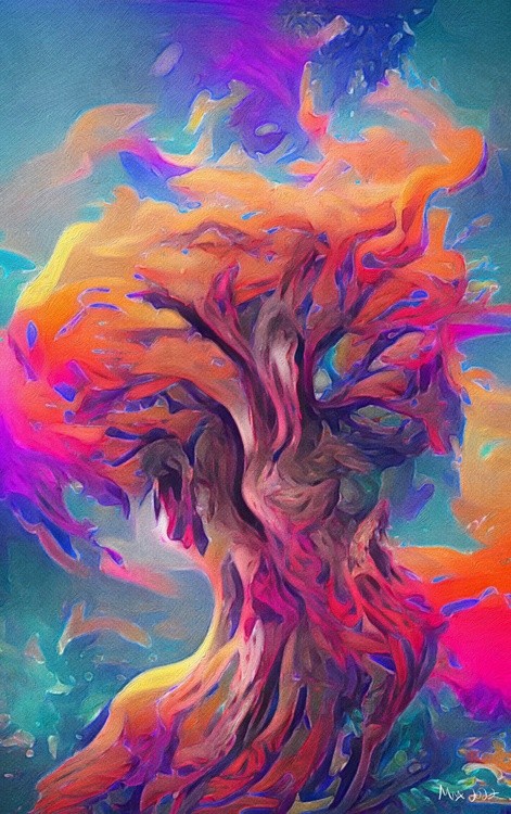 Ancient Desert Tree