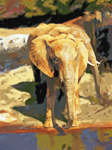 Trip to the Zoo:  The Elephants.
