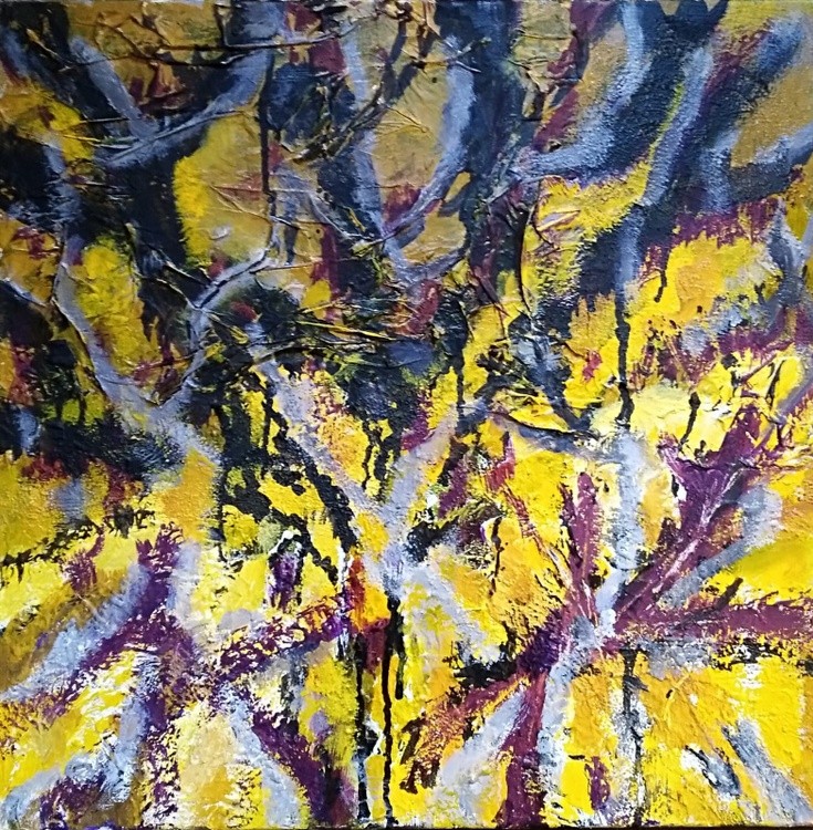 50X50-Genealogia