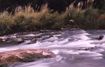 Atuel River