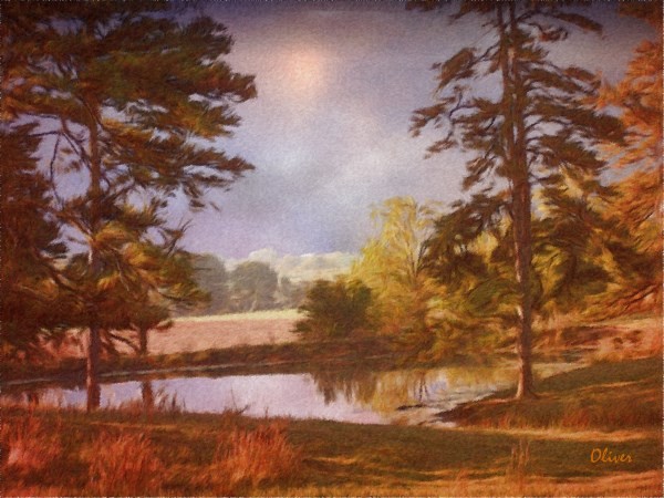 Morning By The Pond