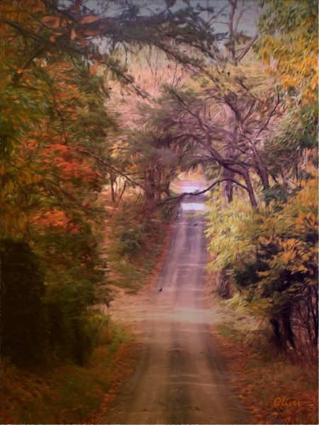 Windfield Road