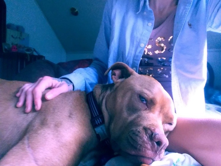 Puppy Love