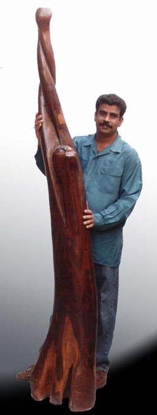 Riaz and Arissing