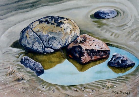 TIDAL ROCK POOL