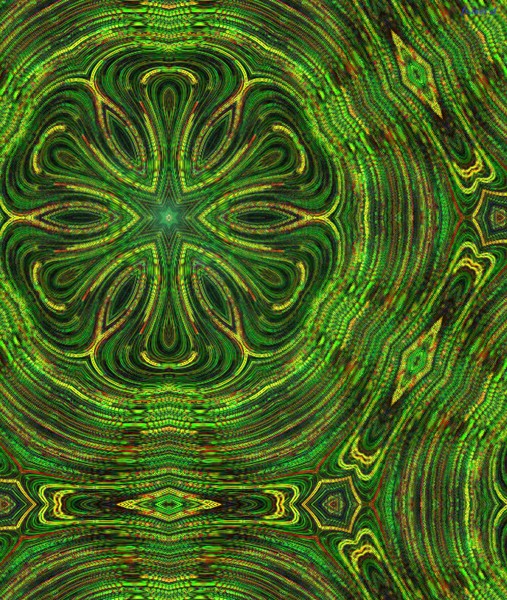 lilly pad
