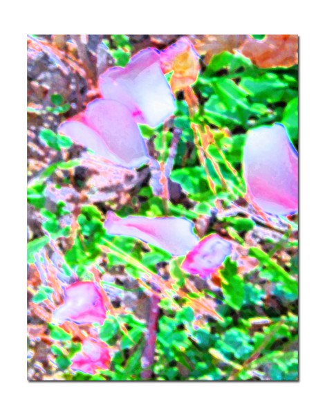 Early Autumn