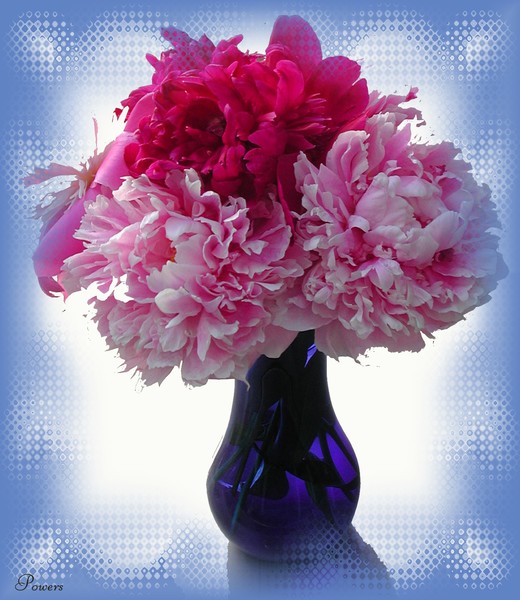 Peony Bouquet