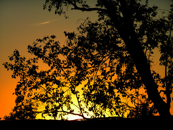 Sunset 1