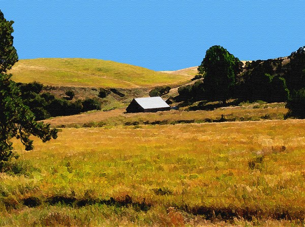 Country Gold