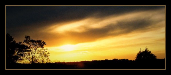 Ole' Fence Post..