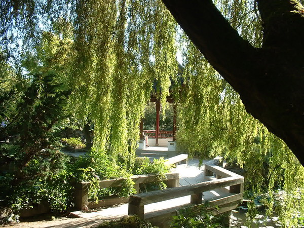 In the garden