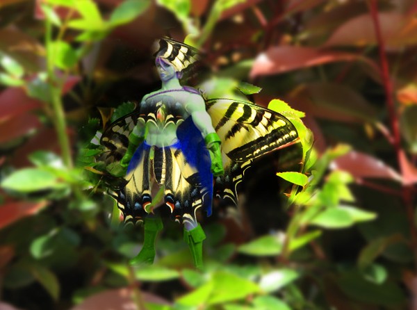 Super Butterfly