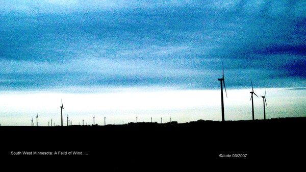 Field of Wind