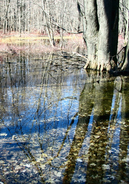 Spring Thaw