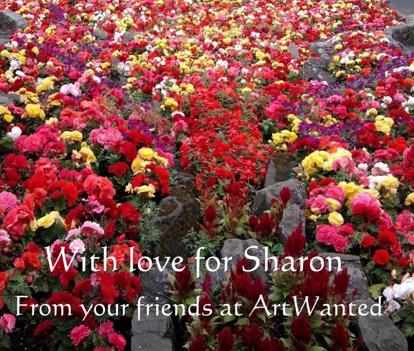 Flowers for Sharon