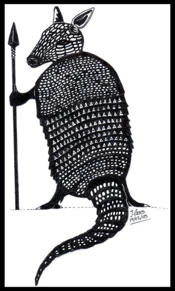 Coat Of Armour