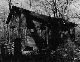 shack, building, maple syrup