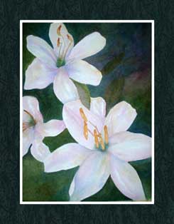 White Flowers