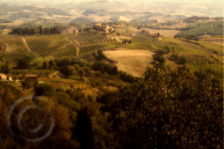Tuscan Golden Valley