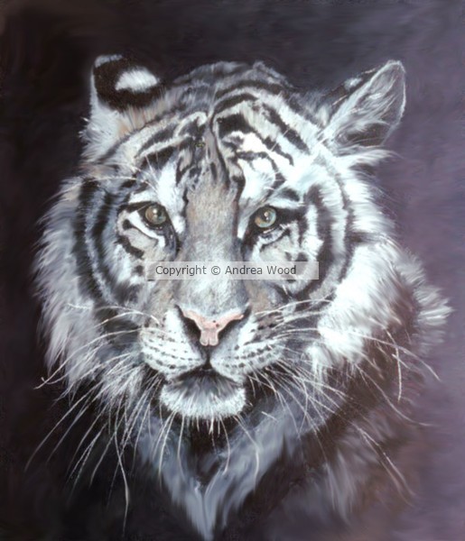 White Tiger
