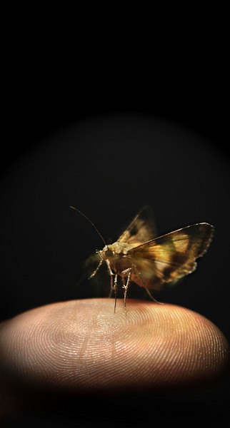 Littleness