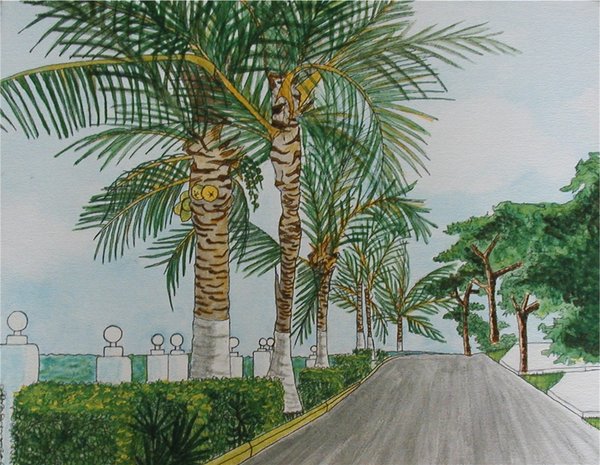 The Road to San Miguel