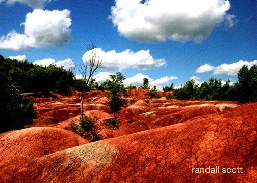 SHADES OF RED