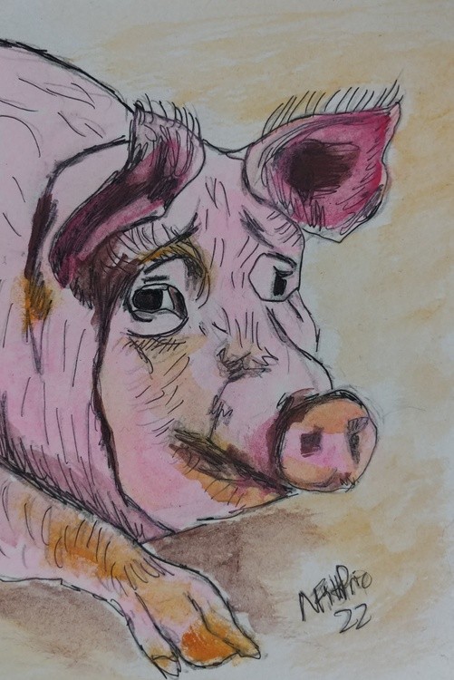 Farm Animal Series-Pig