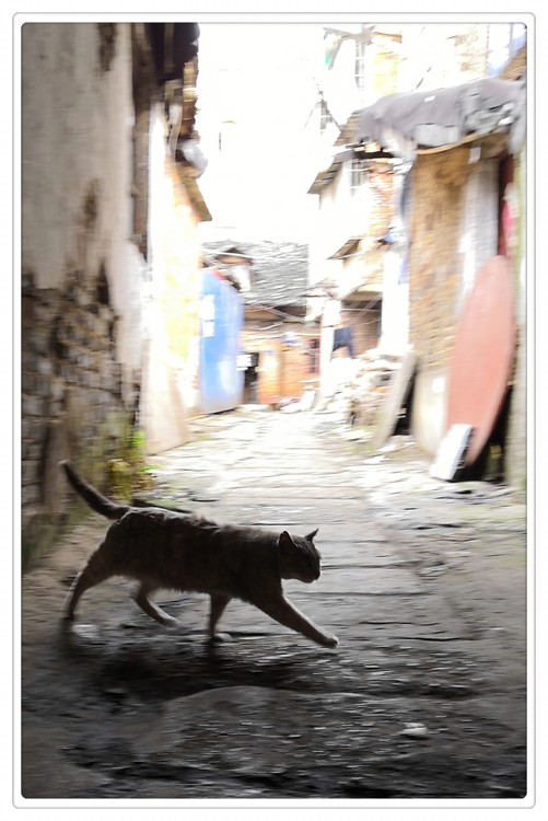 Passerby