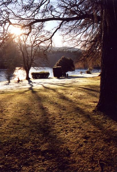 Low Sun in Winter