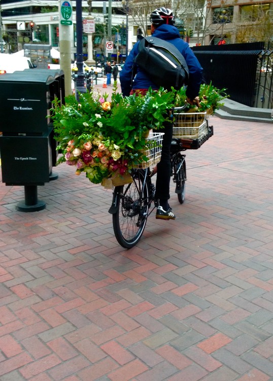 The Cyclist