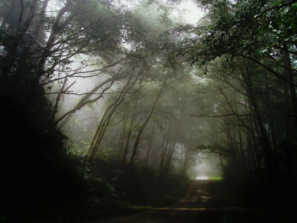 A Foggy Day