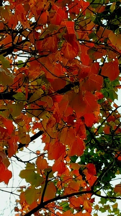OCTOBER