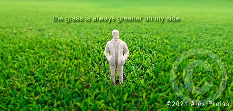 The Grass Is Always Greener On My Side